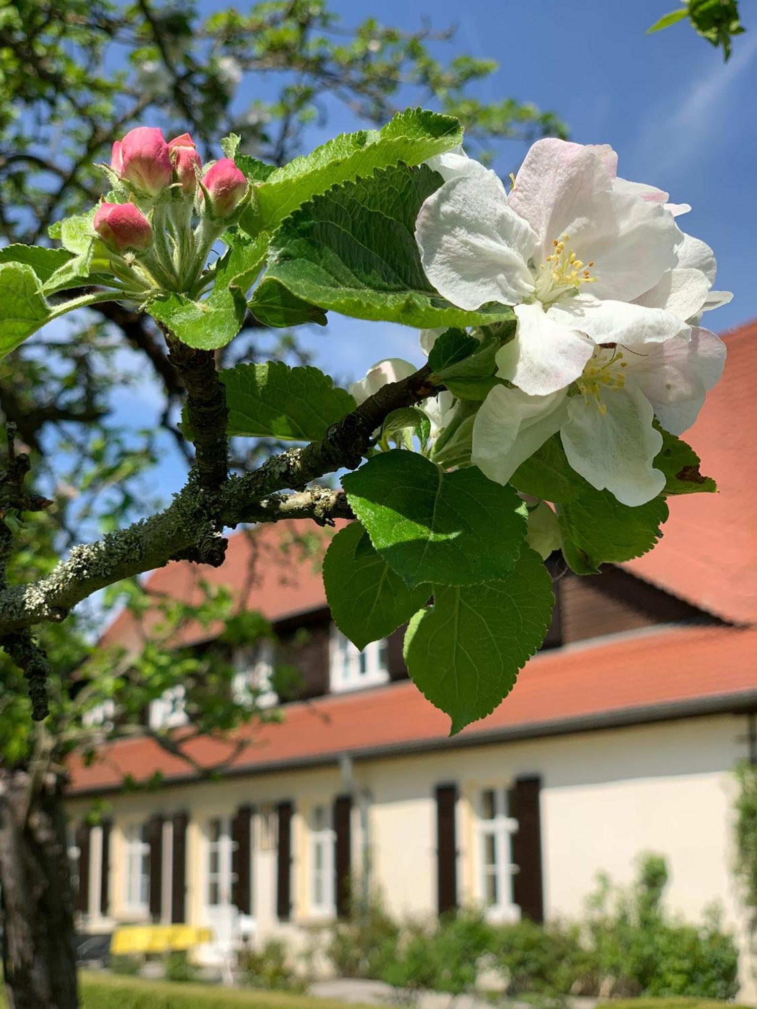 Landhaus Saaleck Naumburg  Ngoại thất bức ảnh