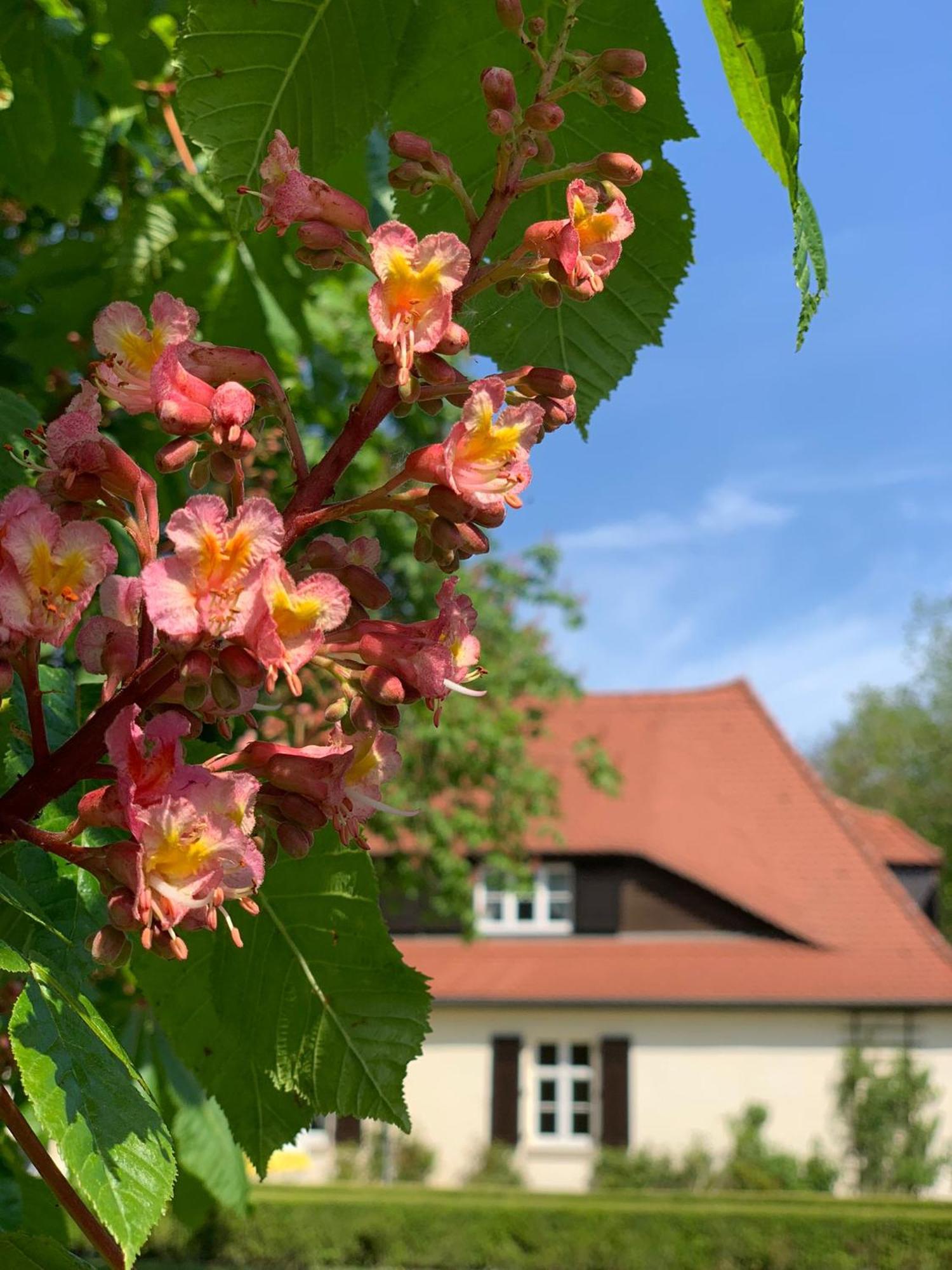 Landhaus Saaleck Naumburg  Ngoại thất bức ảnh