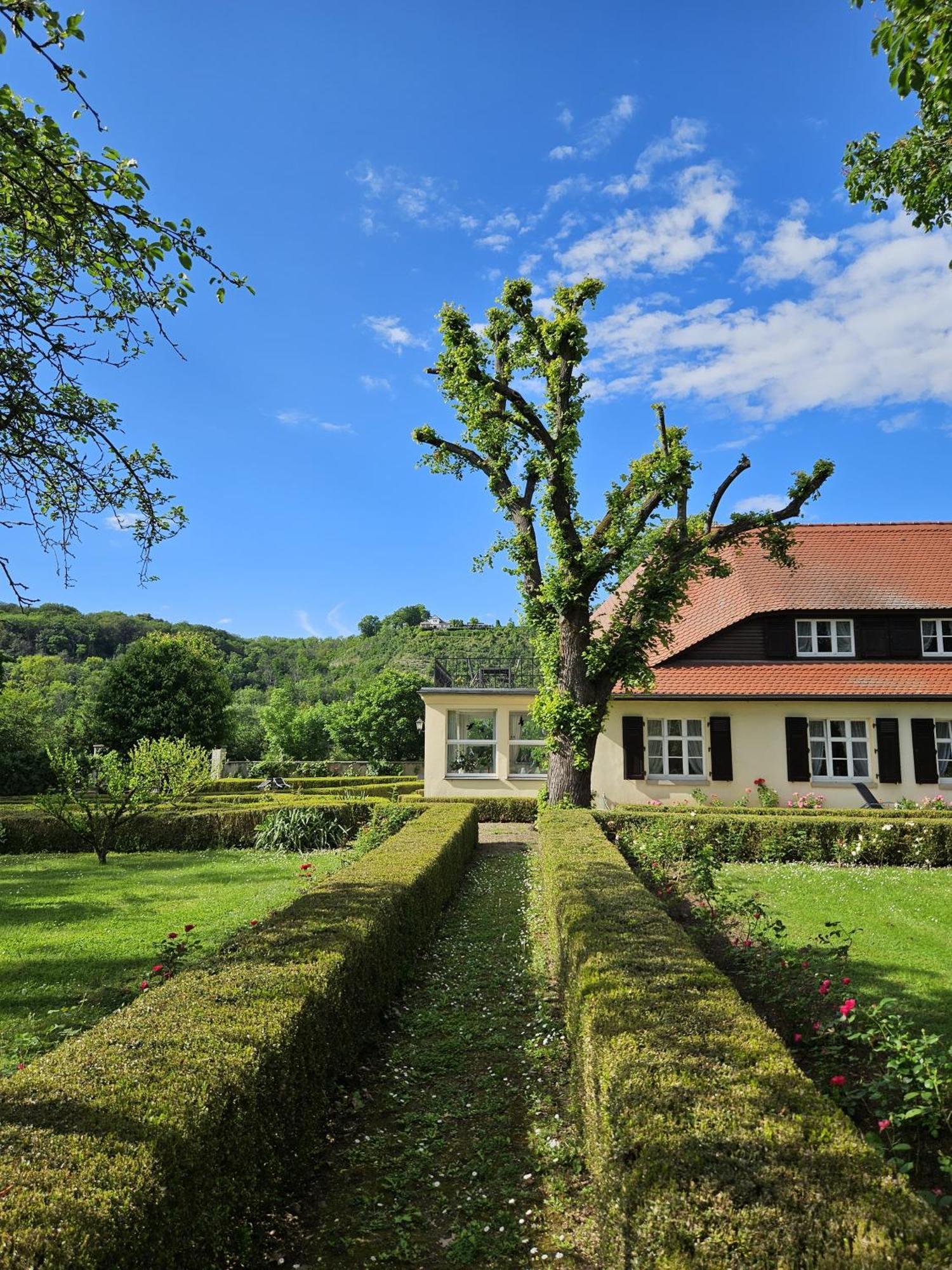 Landhaus Saaleck Naumburg  Ngoại thất bức ảnh